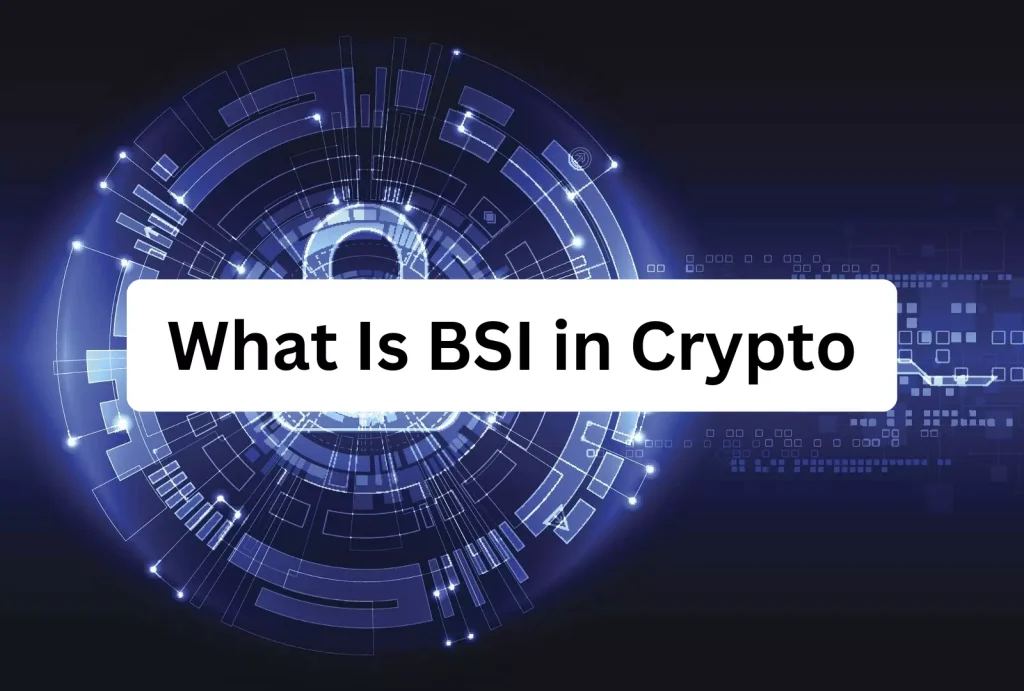 BSI in Crypto