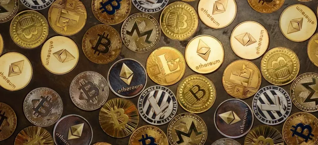 Bunny Crypto