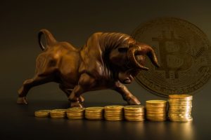 Bitcoin Bull Rally